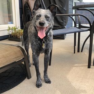 Meet your Posher, Scott